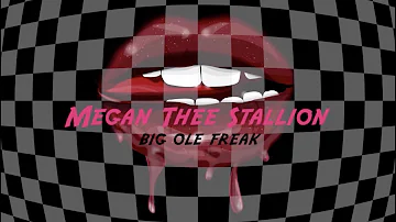 Megan Thee Stallion - Big Ole Freak [Official Lyric Video]