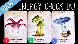 Energy Check In & Channeled Messages!✨💌⭐️🕯️✨PICK A CARD 🃏Timeless Reading