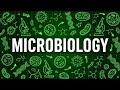 MICROBIOLOGY EXPLAINED LIKE YOU ARE 5 YEARS OLD