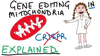 Gene editing the powerhouse of the cell