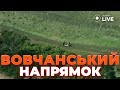 💥БУМ! ЗАСІКЛИ та ЗНИЩИЛИ окупантів. Нові кадри з фронту | Новини.LIVE