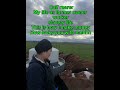Calf rearing in Nz