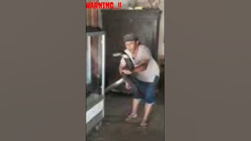 PAWANG TERGIGIT KING COBRA #shorts #viral #trending #panjipetualang