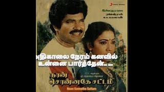 அதிகாலை நேர கனவில் உன்னை பார்த்தேன் Adhikaalai Neram Kanavil 💖 | Naan Sonnadhe Sattam 🎶 #Ilaiyaraaja
