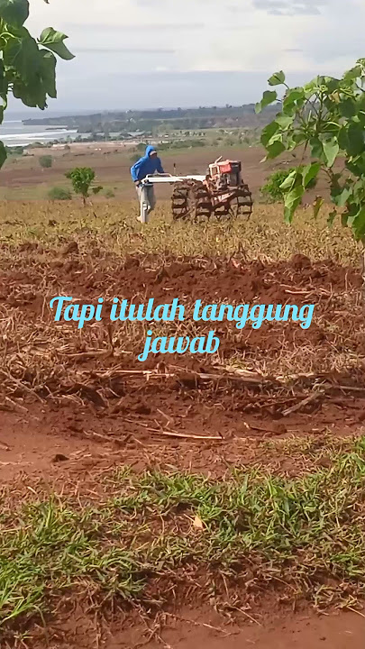 11 desember 2024. Pagii yg cerahh..
