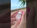 ガチャガチャ8音カリンバ速弾きしてみた｜カノン