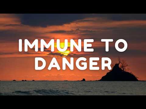 Hippie Sabotage - Immune to Danger (Lyrics)