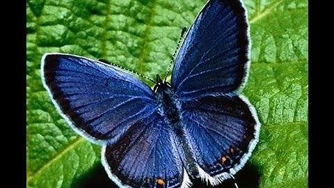 How to Defuse Anger By Lengthening Your Emotional Movie by Michael Harris, PhD