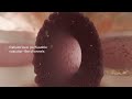 BIONOVA X: High‑throughput in‑well DLP bioprinting