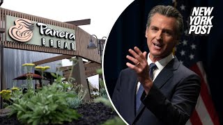 Panera Bread exempt from California's $20 minimum wage law after owner donated to Gov. Newsom: re...