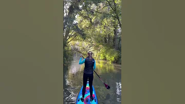 Paddle boarding in Bunnik ????