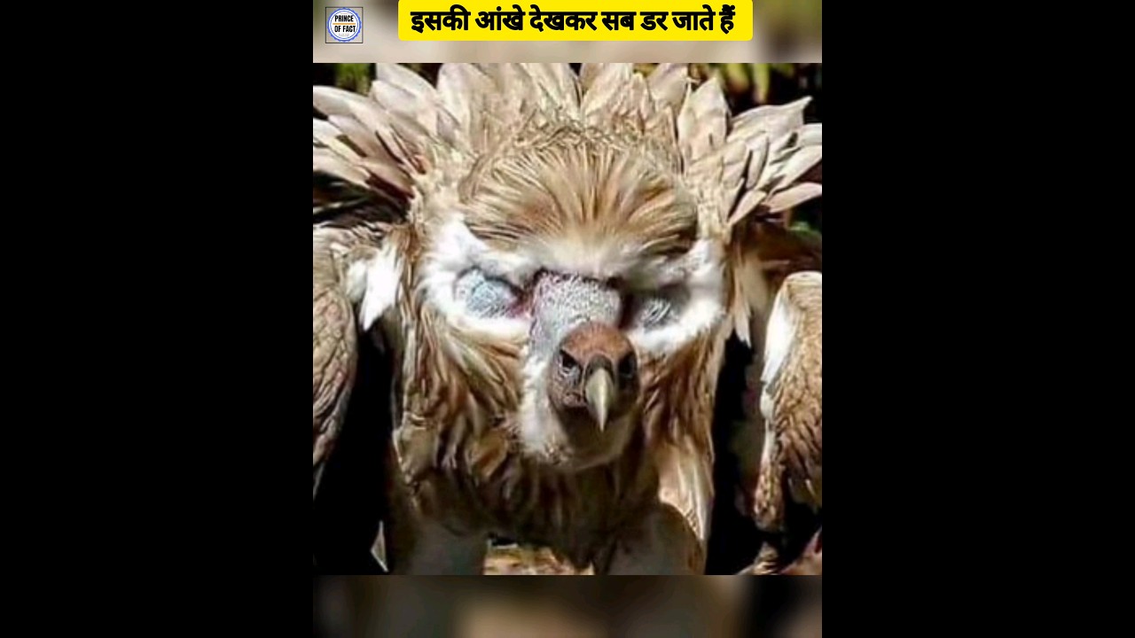 Top 10 Amazing facts about Animals 🔥 #shorts #Animals #viral