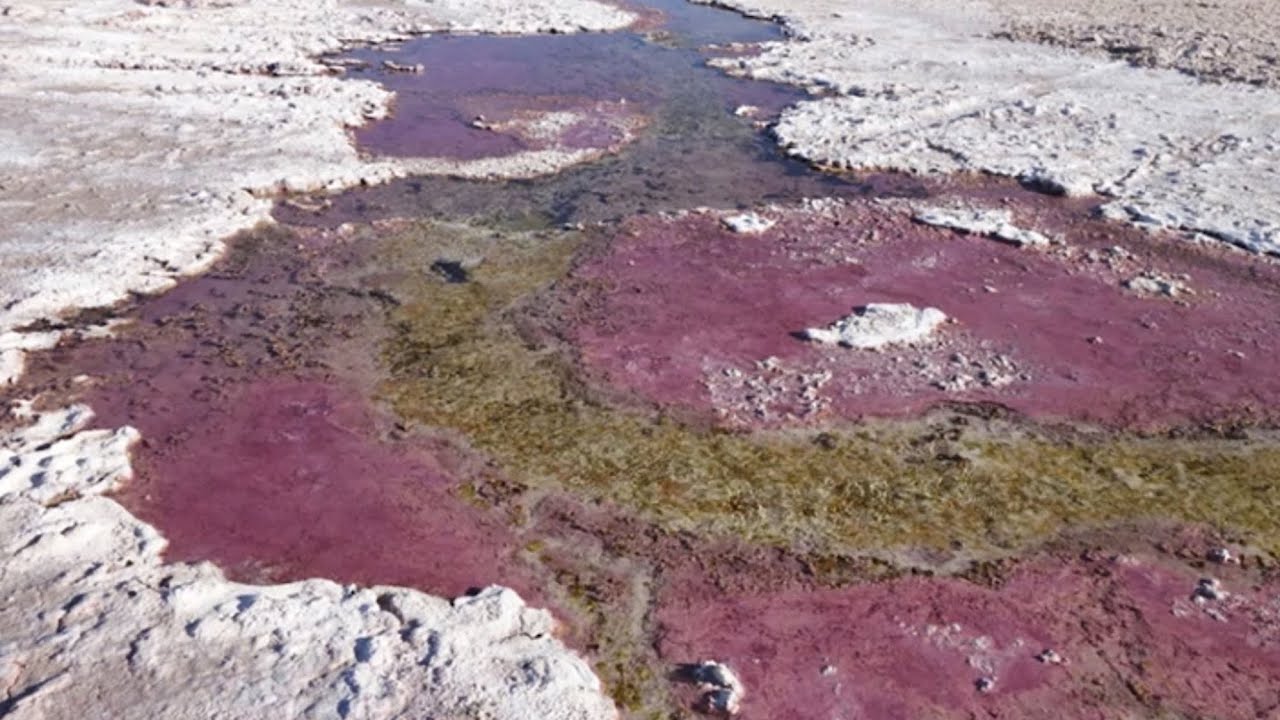 Before Oxygen, Life on Earth Used to Breathe This Infamous Poison - YouTube