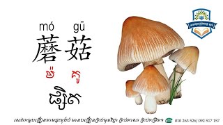តោះ តោះ មករៀនពាក្យបន្លែជាភាសាចិនទាំងអស់គ្នា🍄🧅🌽🥦🥒🥬🍅🌶️🥕🍋🍆🧄🥔🥜🫑