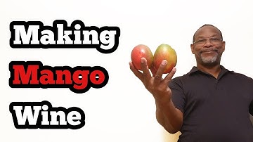 Making Mango Wine: 1 Gallon