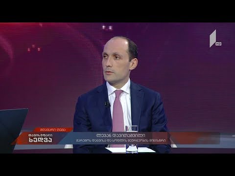 ენერგოპოლიტიკა და გარემოს დაცვა - გარემოს დაცვისა და სოფლის მეურნეობის მინისტრი ლევან დავითაშვილი