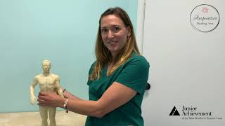 Cynthia Caputo, Acupuncturist, Acupuncture Healing Arts
