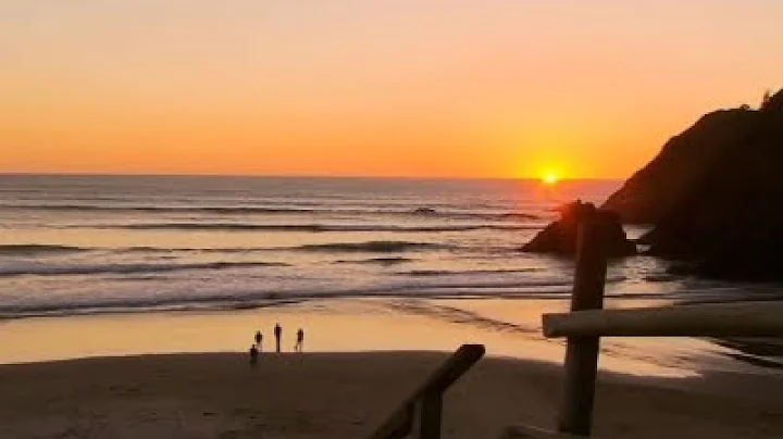 Oregon Surfer Survives Shark Attack