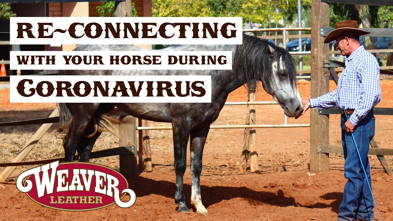Re-Connecting with Your Horse During Coronavirus Episode 3 | Weaver Leather