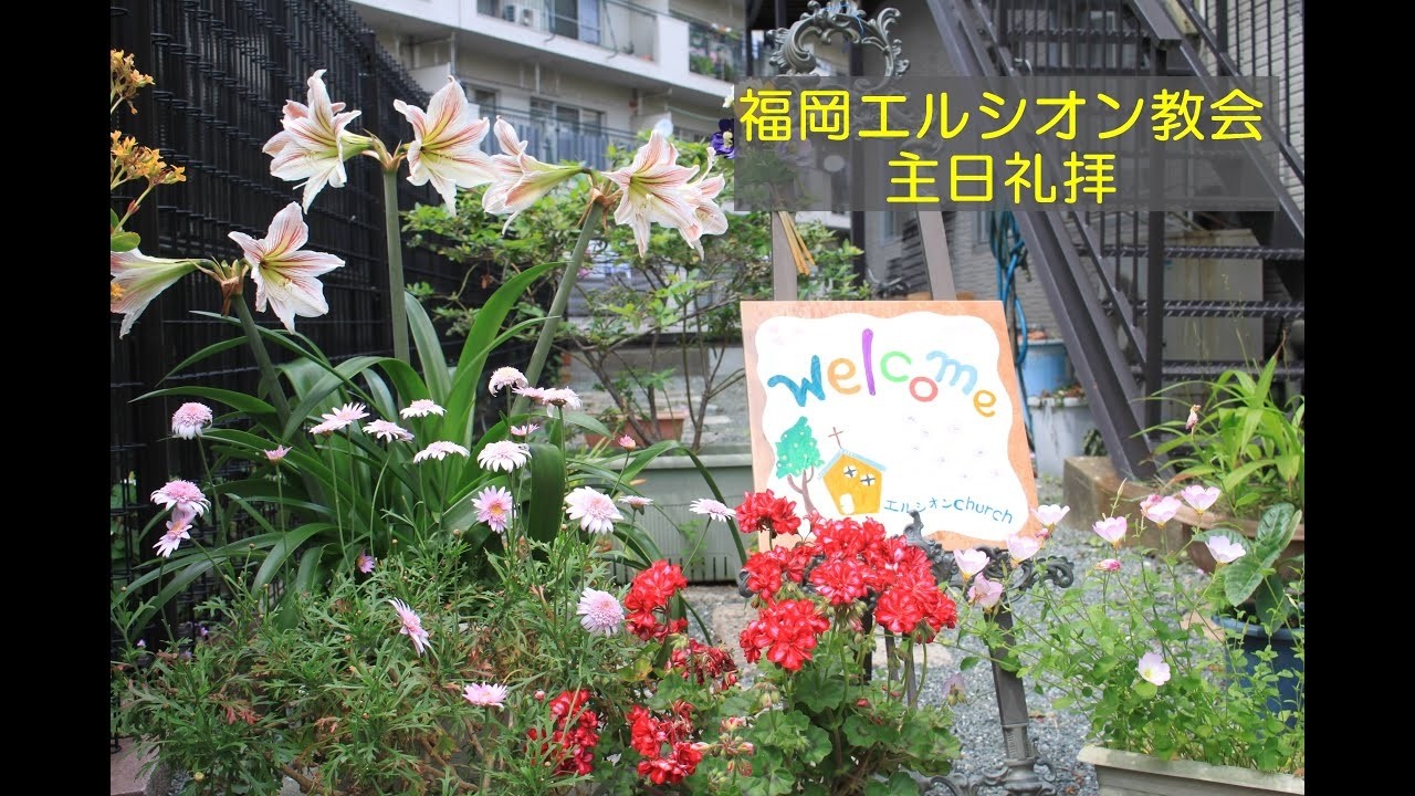 ２０２６年２月１５日　主日礼拝