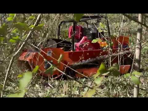 ROKAJABBA - Vidéo 34