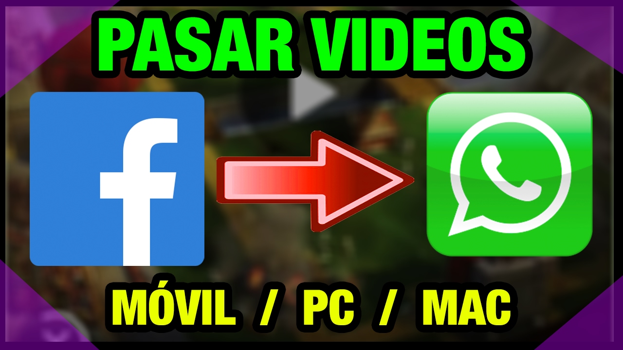 Whats App Videos Whats App Videos