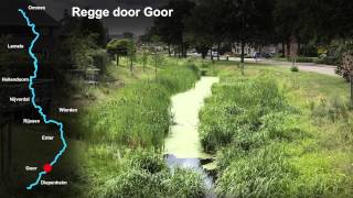 het geheim van de Regge