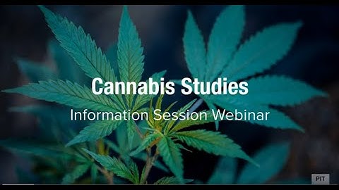 Cannabis Webinar