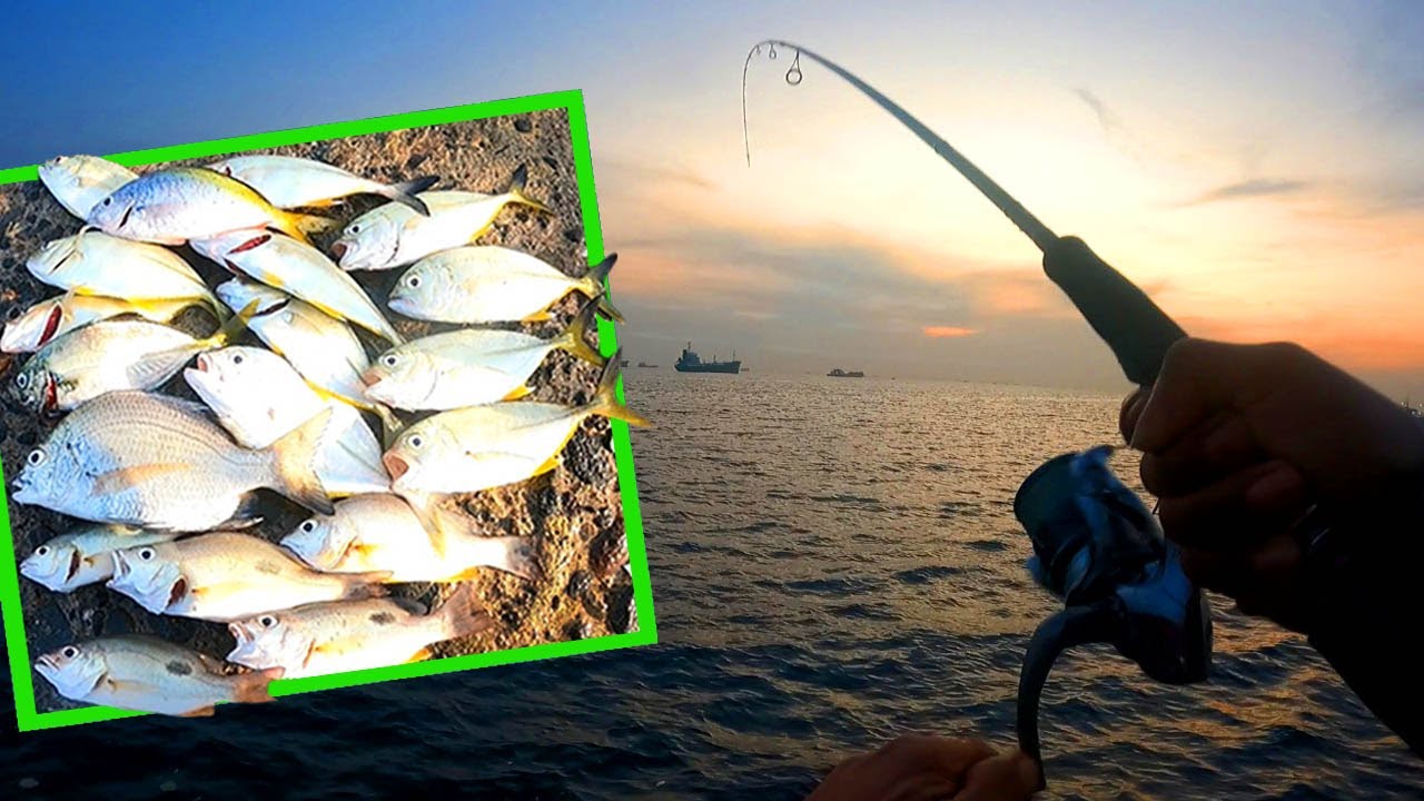 Mancing Ikan Baby GT di Dam Merah Tanjung Priok