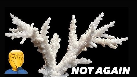 ALL of my ACROPORA BLEACHED and What I