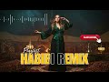 Arabic Habibi Remix – Midnight Drive Edition | Chill &amp; Bass