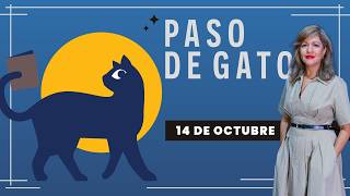 Paso de gato 14 Octubre 2026