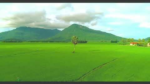 Algoritma K-Nearest Neighbor (KNN) Menggunakan Perhitungan Euclidean Distance