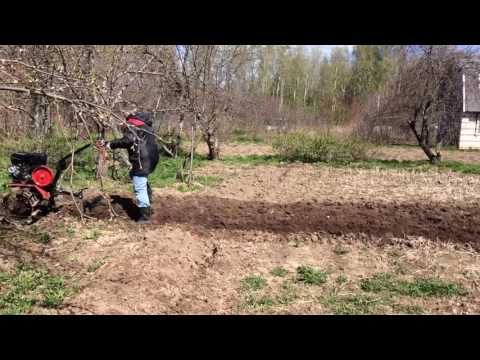 Мотоблок ОКА Lifan
