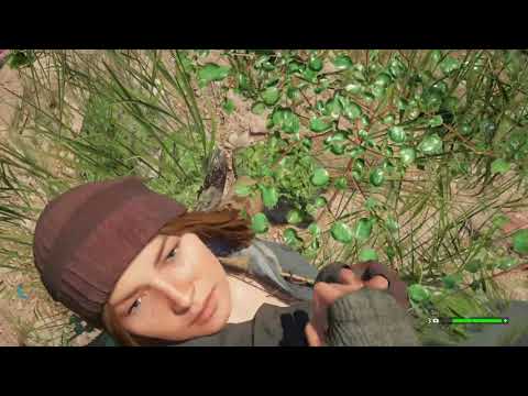 Far Cry New Dawn - Losing Streak Walkthrough