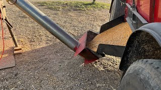 Unloading corn