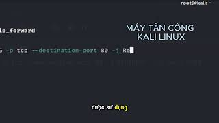 Tấn công SSL Strip   Man In The Middle