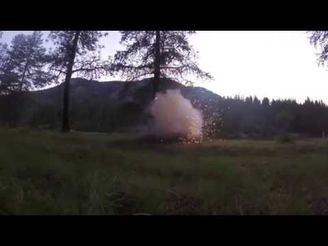 Tannerite/ Exploding Target vs Tree