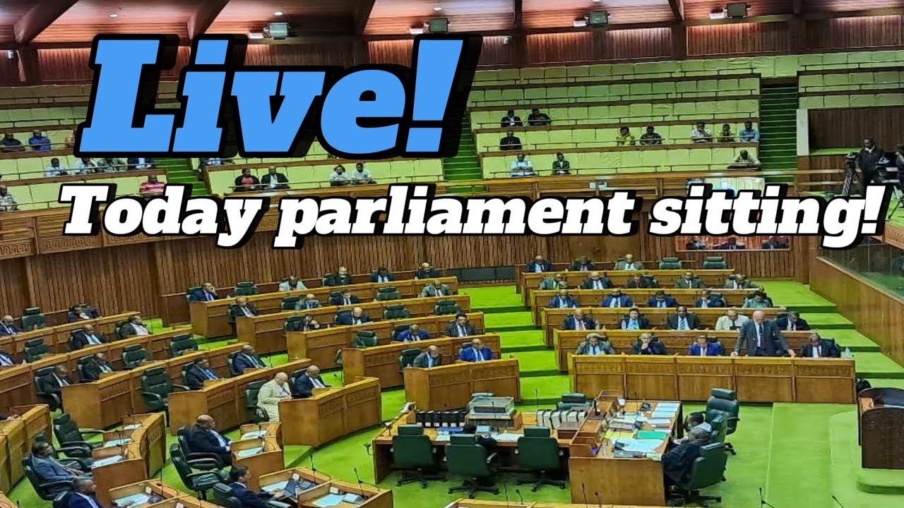 LIVE: Papua New Guinea Parliament Meeting Today | Major National Issues & Debates (29 July 2025)