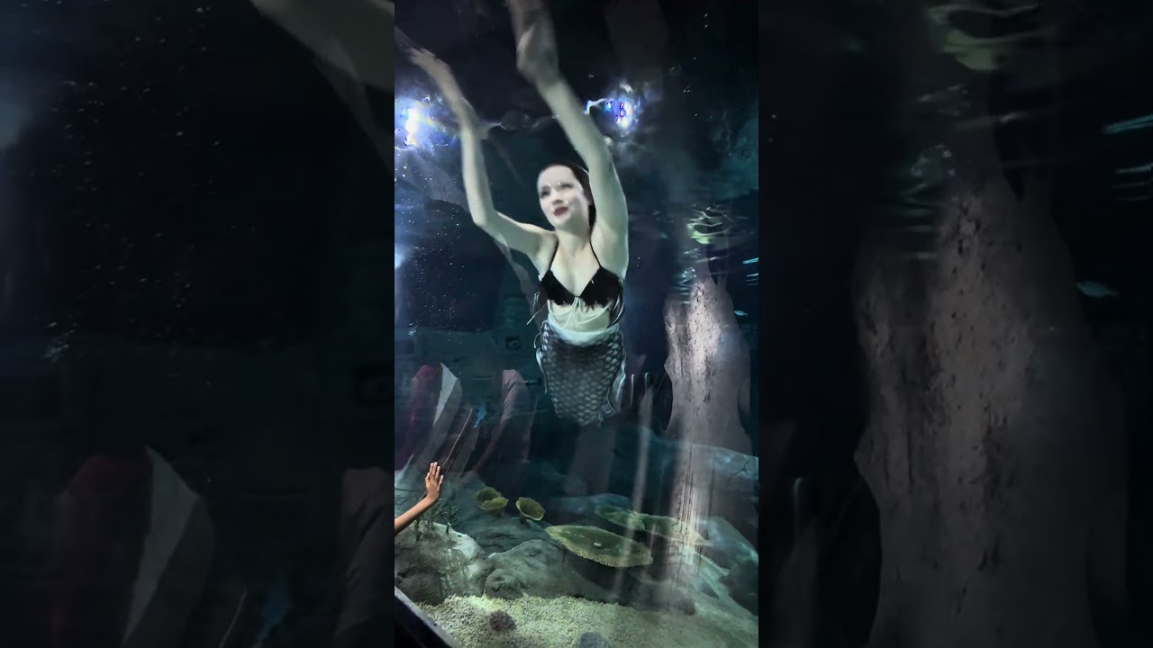 Плюсы и минусы работы русалкой на Маврикии