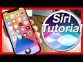 How To Use Siri On The iPhone 12 Pro Mini & iPhone 12 Siri Tutorial & Tips