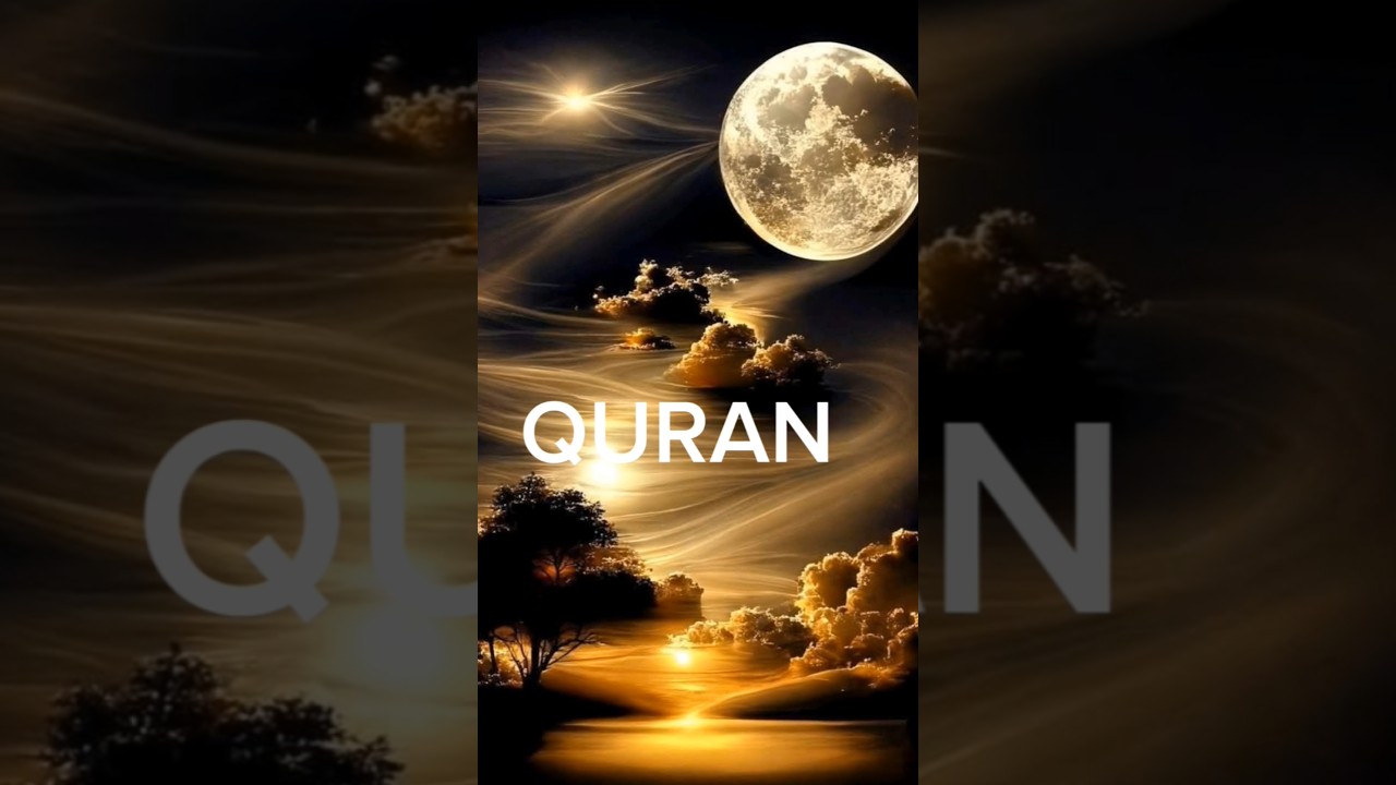 Best islamic short video 🥀🍁 Quran 