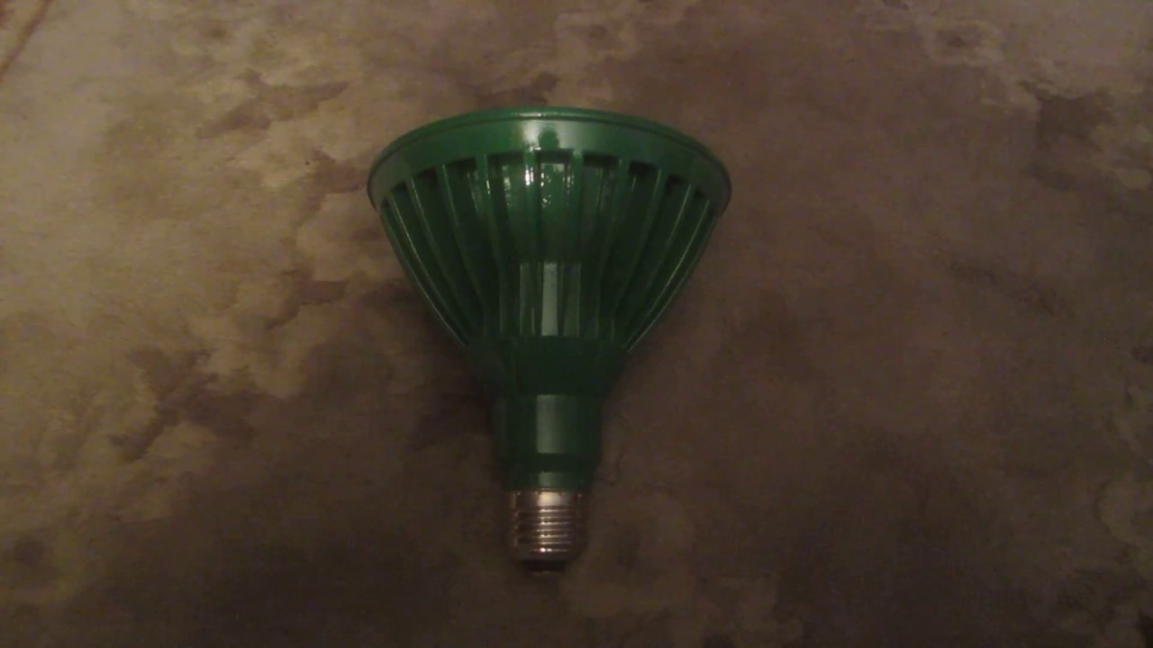 Feit Electric 15 Watt R40 LED Green Reflector Bulb. - YouTube