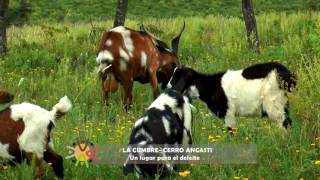 LA CUMBRE CATAMARCA ARGENTINA