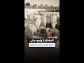 حنيكات بغداد حرب دارت رحاها بين التجمع المغفري وقبائل إدوعيش في موريتانيا 