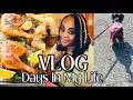 Vlog days in my life self care day cooking dinneramazon haul