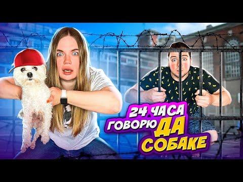 24 ЧАСА ГОВОРЮ ДА СОБАКЕ БИЛЛИ БОЮ | ЩЕНОК УПРАВЛЯЕТ МОИМ ДНЁМ