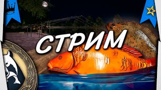 ⭐СТРИМ РР4 |⭐Трофейная Доночная Ловля | 🎁Рулетка с призами