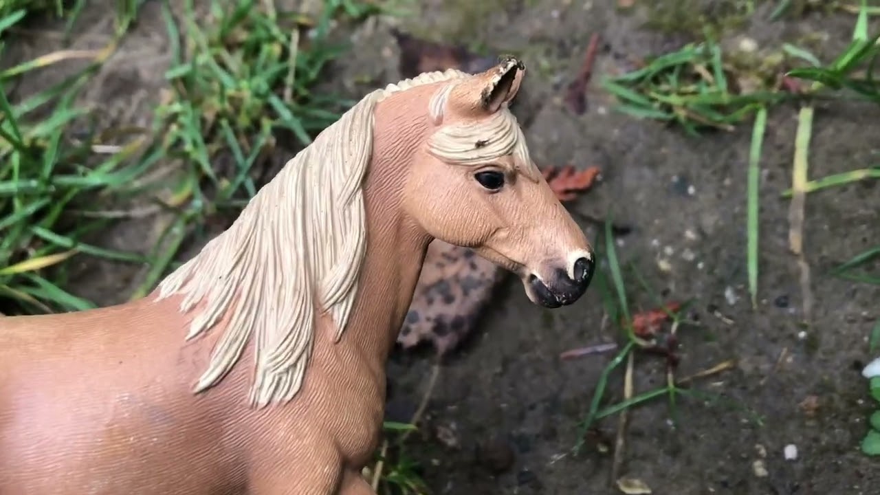 Gene‘s traurige Story!🥺