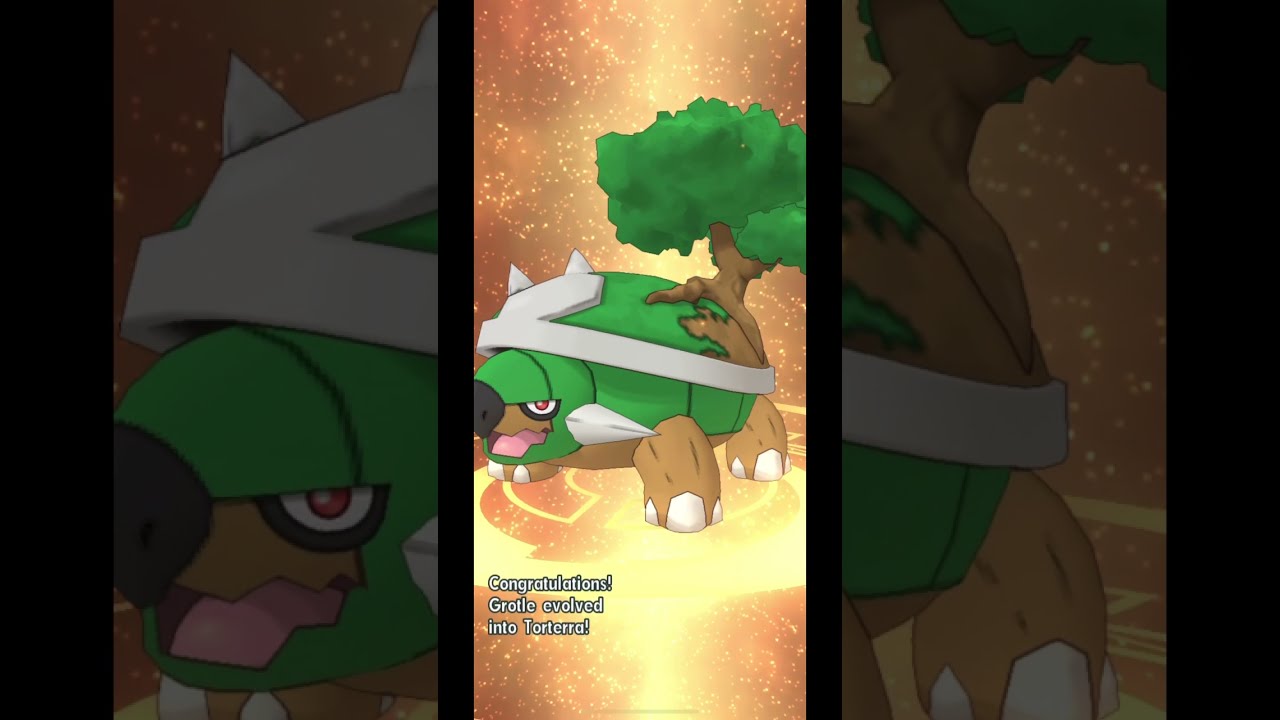 Pokemon Master Ex | Evolution of Torterra